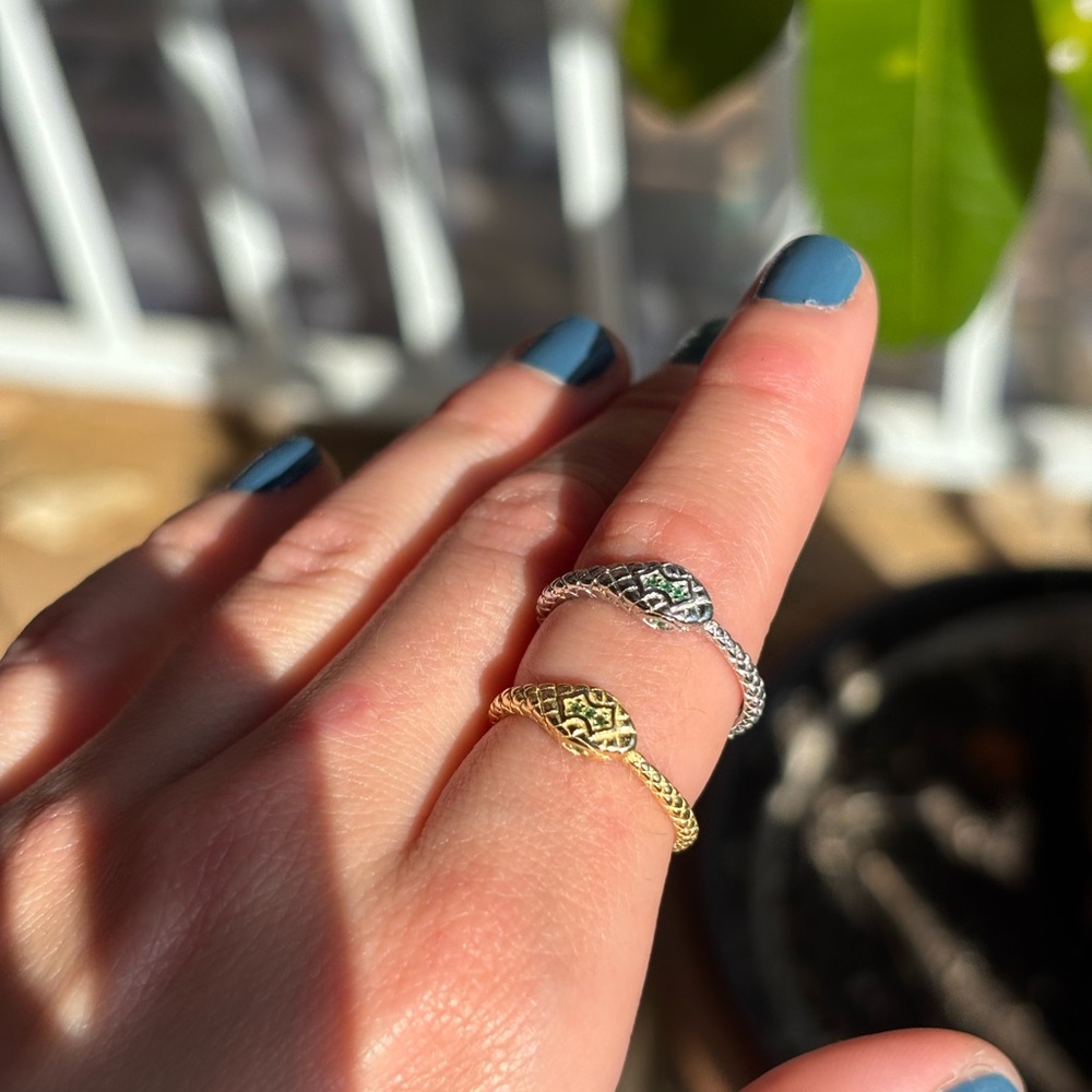 Ouroboros Gold and Sterling Silver .925 Rings